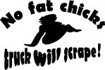 no fat chicks.jpg