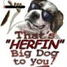 Herfin Bigdog