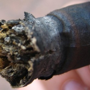 Another look at the ash (photo #2)