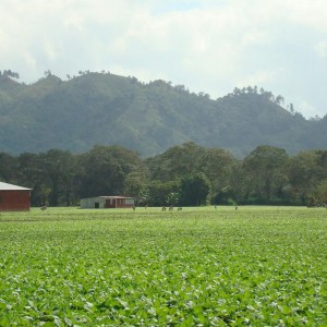 Jalapa Valley