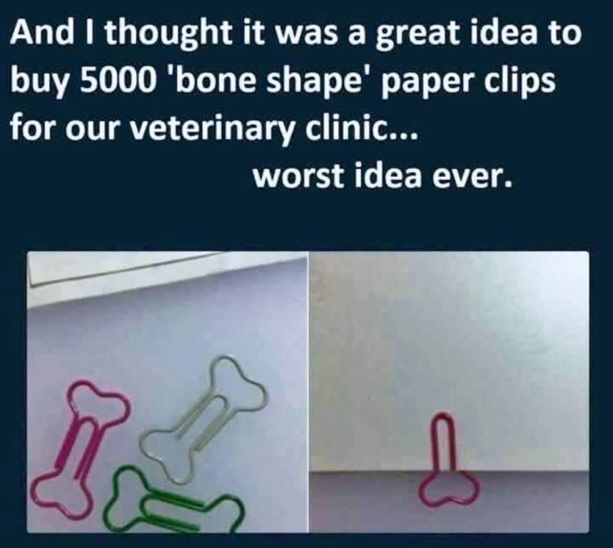 1000012862.jpg