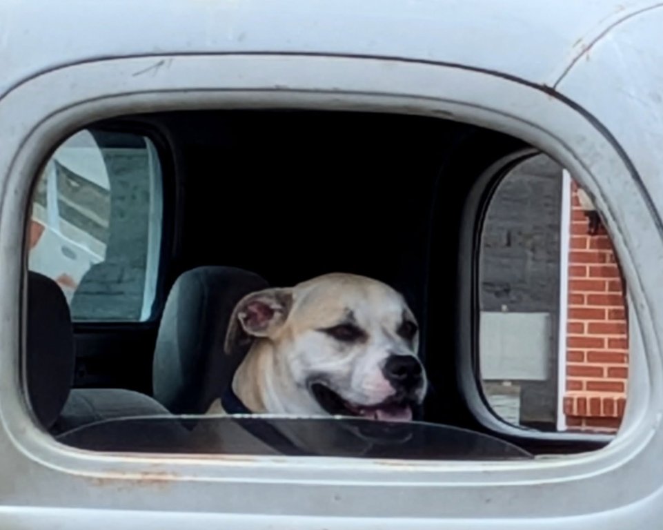 Big Dog2.jpg