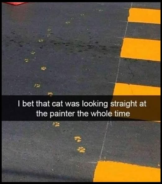 cats and paint.jpg