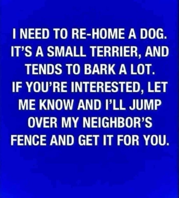 dog.JPG