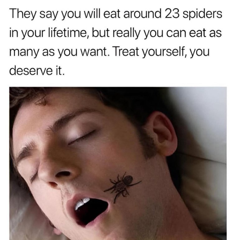 eating spiders.jpg