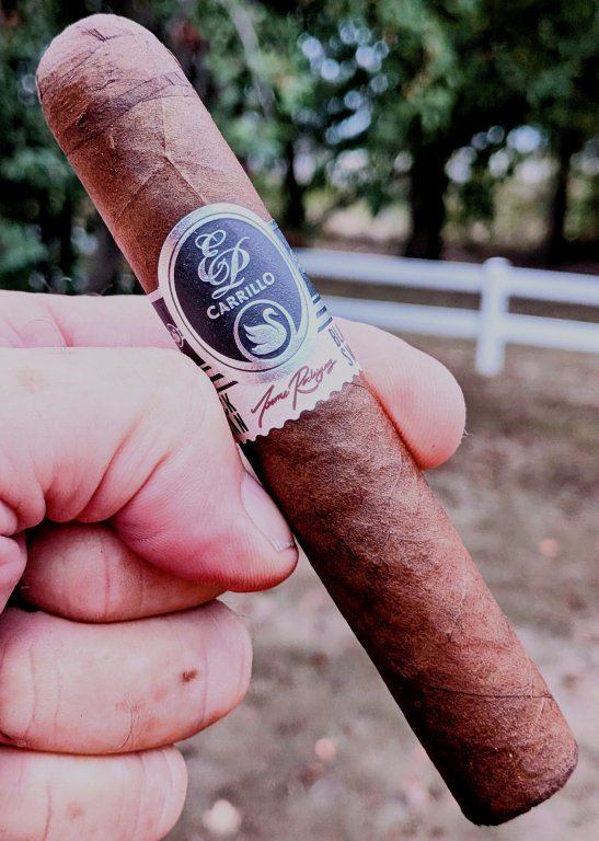 EP Carrillo Black Swan.jpg