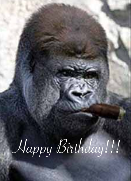 HBDCPGorilla Cigar 2 for CP.png