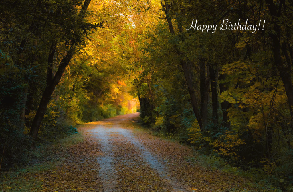 HBDKatyTrailFall.png