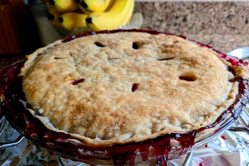 Just blackberry pie.jpeg