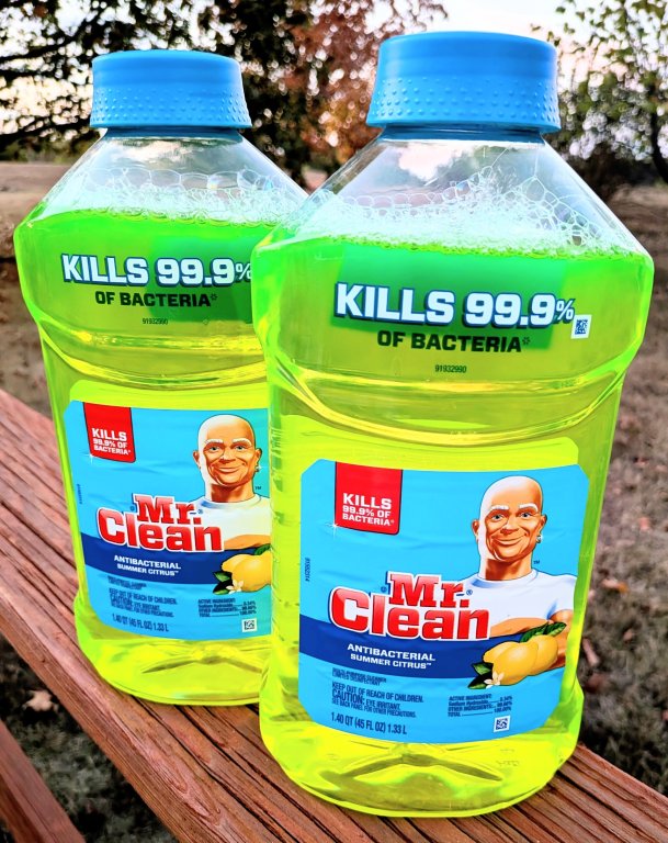 Mr. Clean 1.jpg