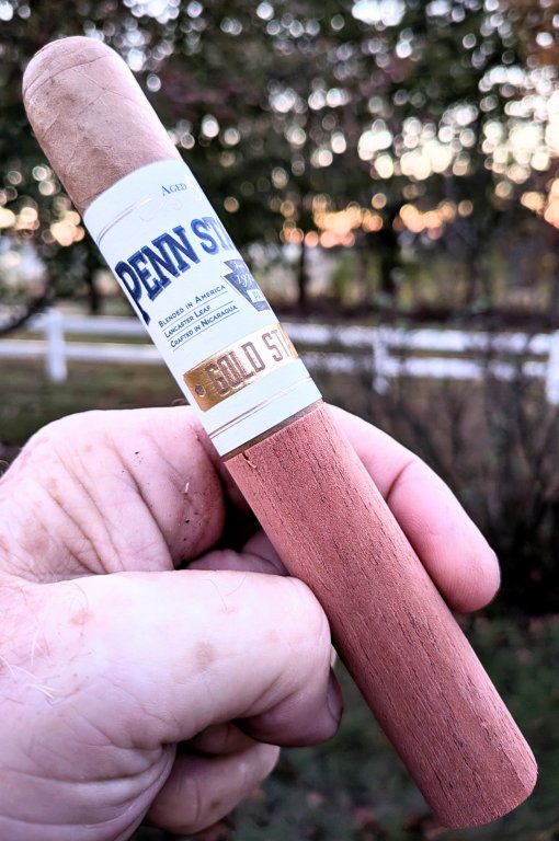 Penn Standard Gold.jpg