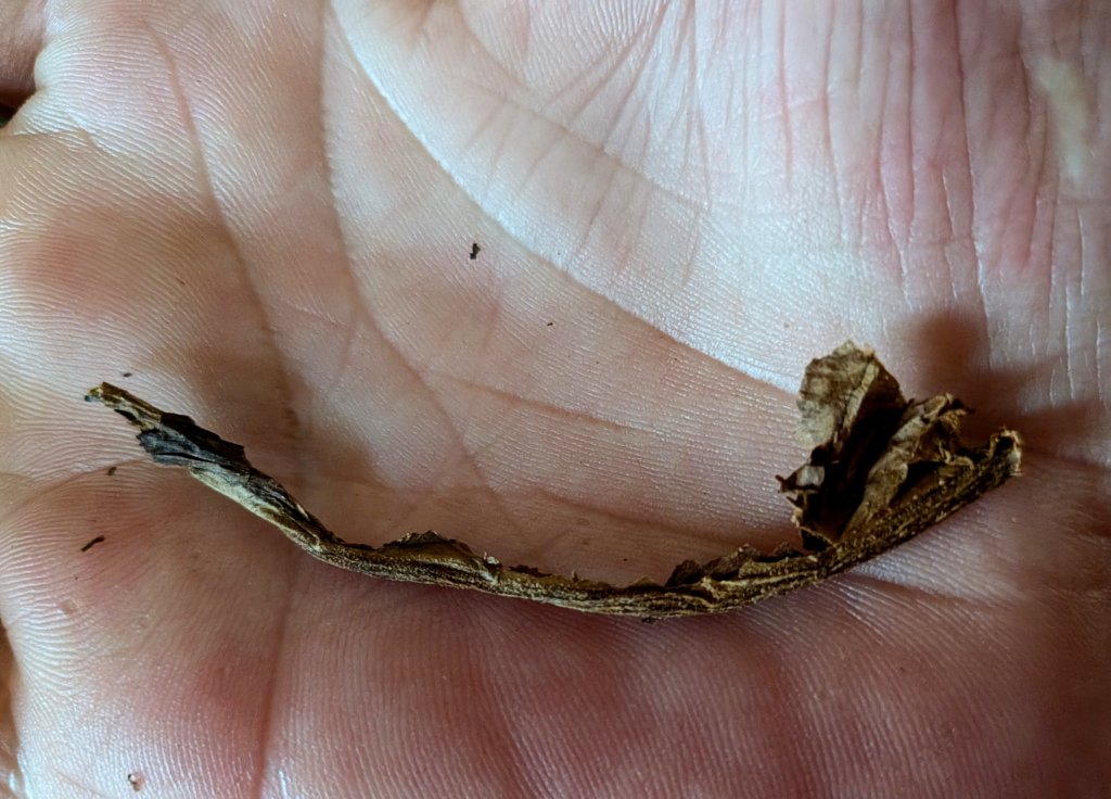 Stick.jpeg