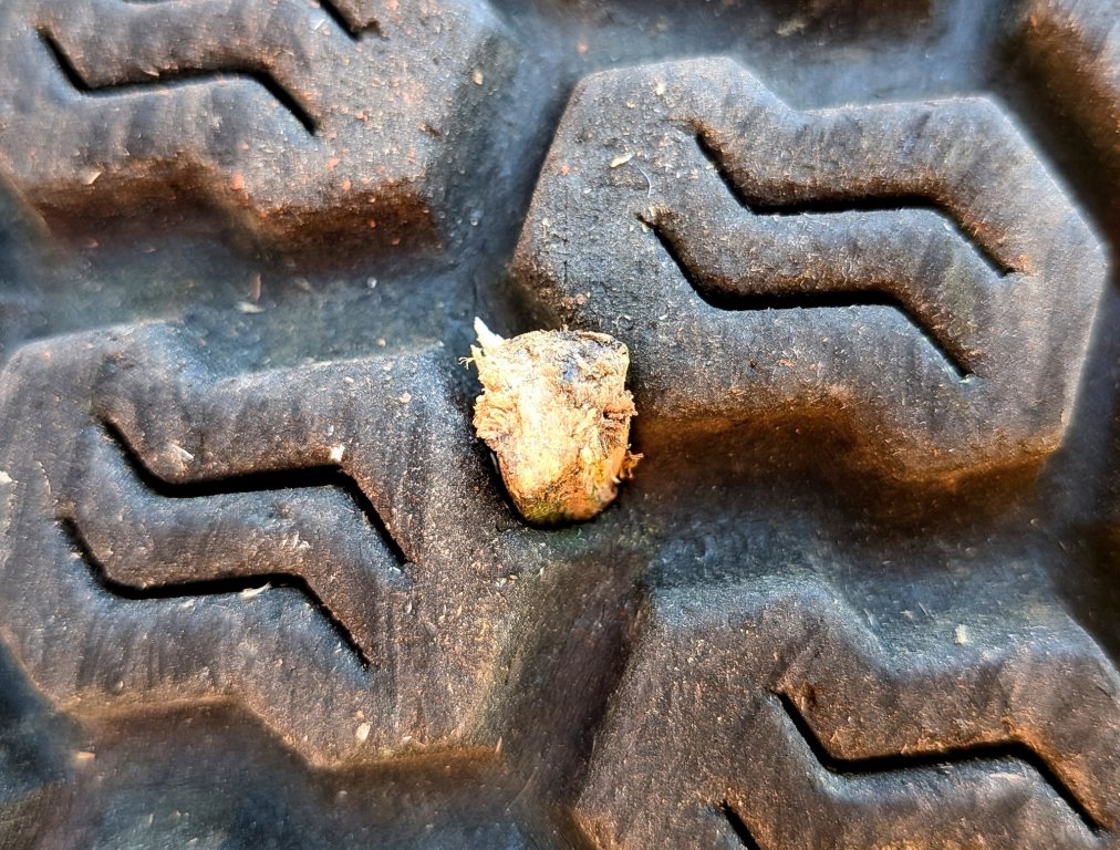 tire2.jpg