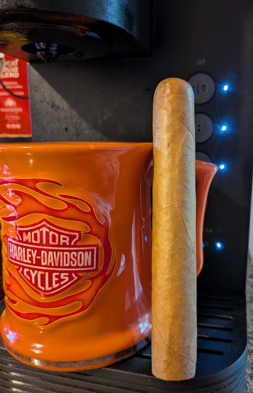 toasty jones.jpeg