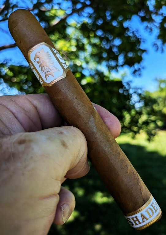 Undercrown Shade.jpeg
