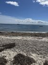 IMG_9439.jpeg