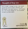 IMG_6063.jpeg