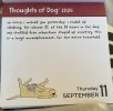 IMG_6065.jpeg