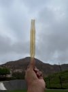 IMG_1803.jpeg