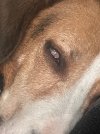IMG_6076.jpeg