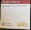 IMG_6082.jpeg