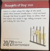 IMG_6084.jpeg