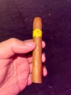IMG_9931.jpeg