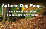 autumn dog poop.jpg