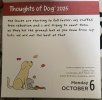 IMG_6142.jpeg