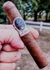 EP Carrillo Black Swan.jpg