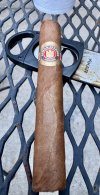IMG_7938.jpeg