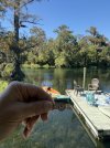 IMG_3546.jpeg