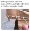 feed bag.jpg
