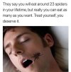 eating spiders.jpg