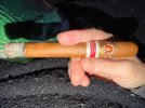 IMG_3534.jpeg