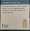 IMG_6622.jpeg