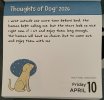 IMG_6625.jpeg
