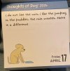 IMG_6639.jpeg