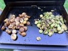 IMG_7064.jpeg