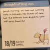 IMG_6640.jpeg