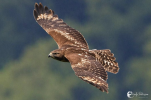 Photoroom_20260415_183726.png
