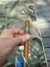 IMG_4922.jpeg