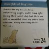 IMG_6667.jpeg