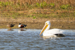 Photoroom_20260421_192022.png