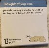 IMG_6735.jpeg