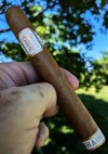 Undercrown Shade.jpeg