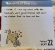 IMG_6758.jpeg