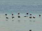 IMG_3795.jpeg