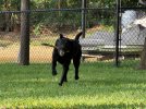 IMG_3859.jpeg