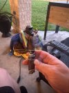 IMG_3581.jpeg